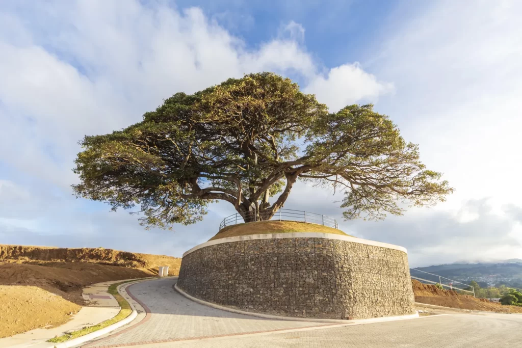 ¿Qué ofrece un condominio_