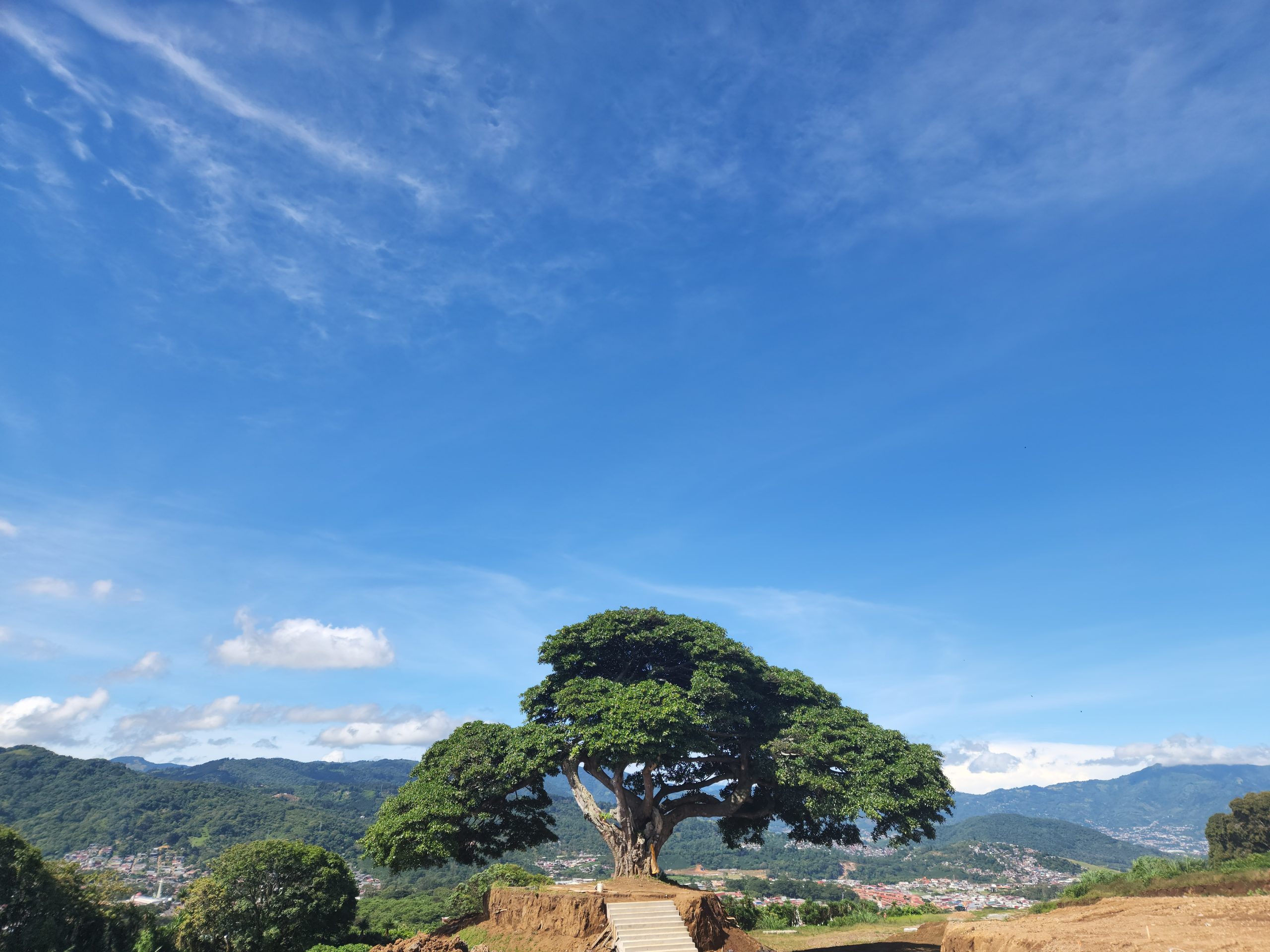 lote financiado o contado